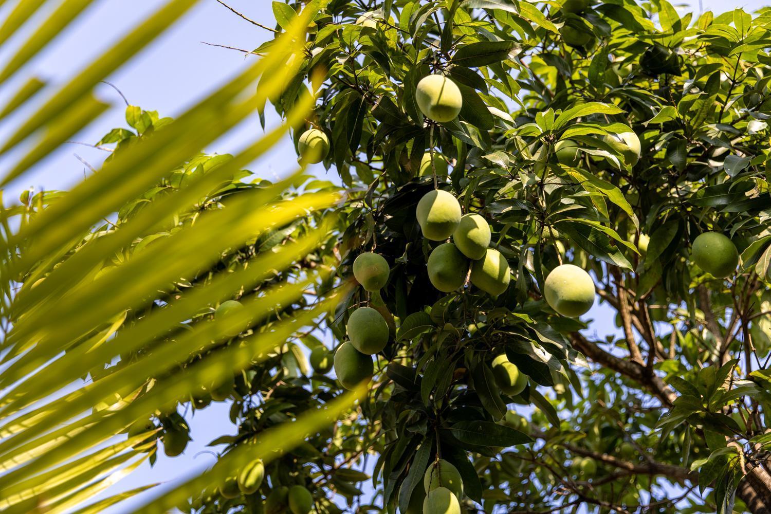Kampot Cabana Εξωτερικό φωτογραφία