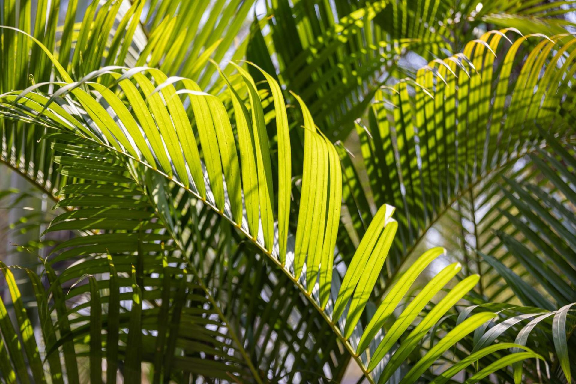 Kampot Cabana Εξωτερικό φωτογραφία
